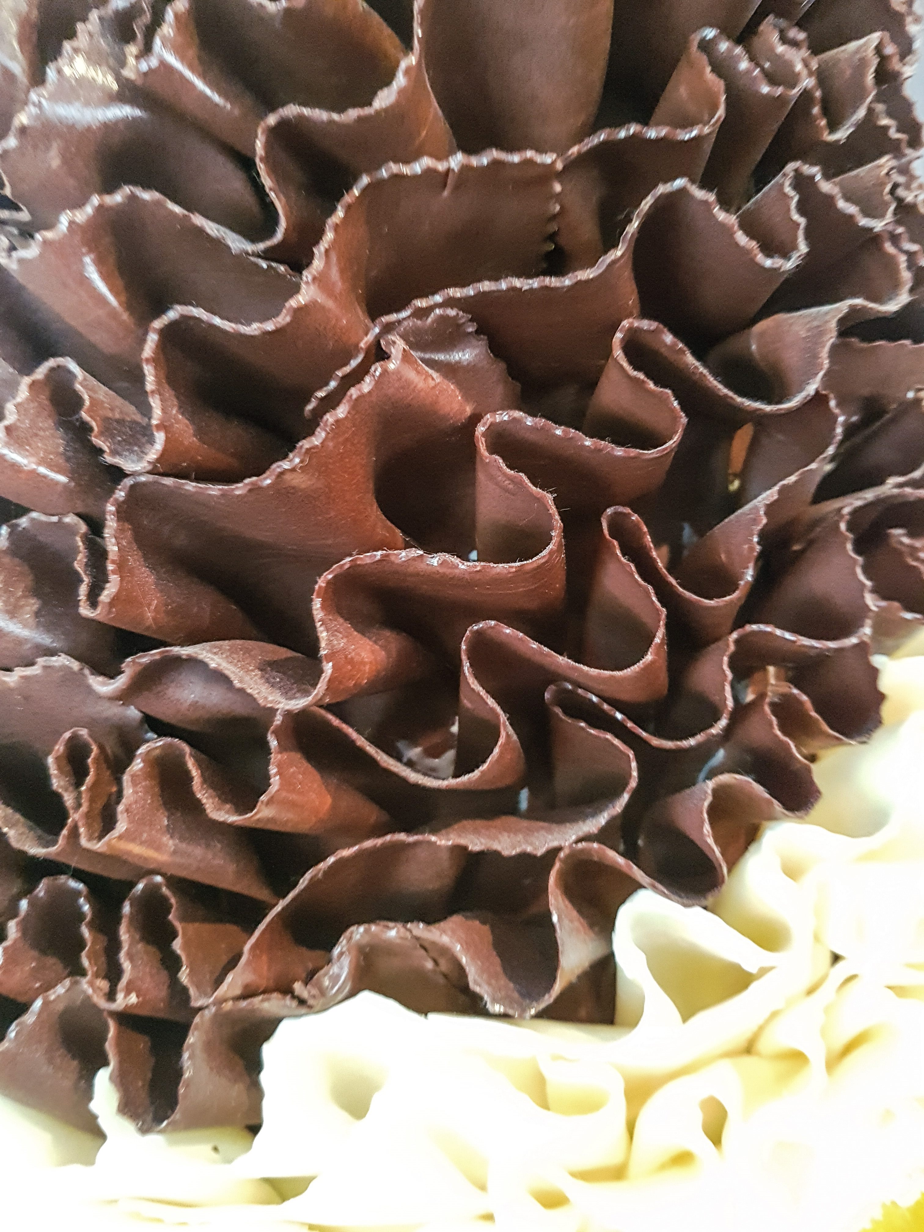 Chocolate Cake Patisserie Valerie 2